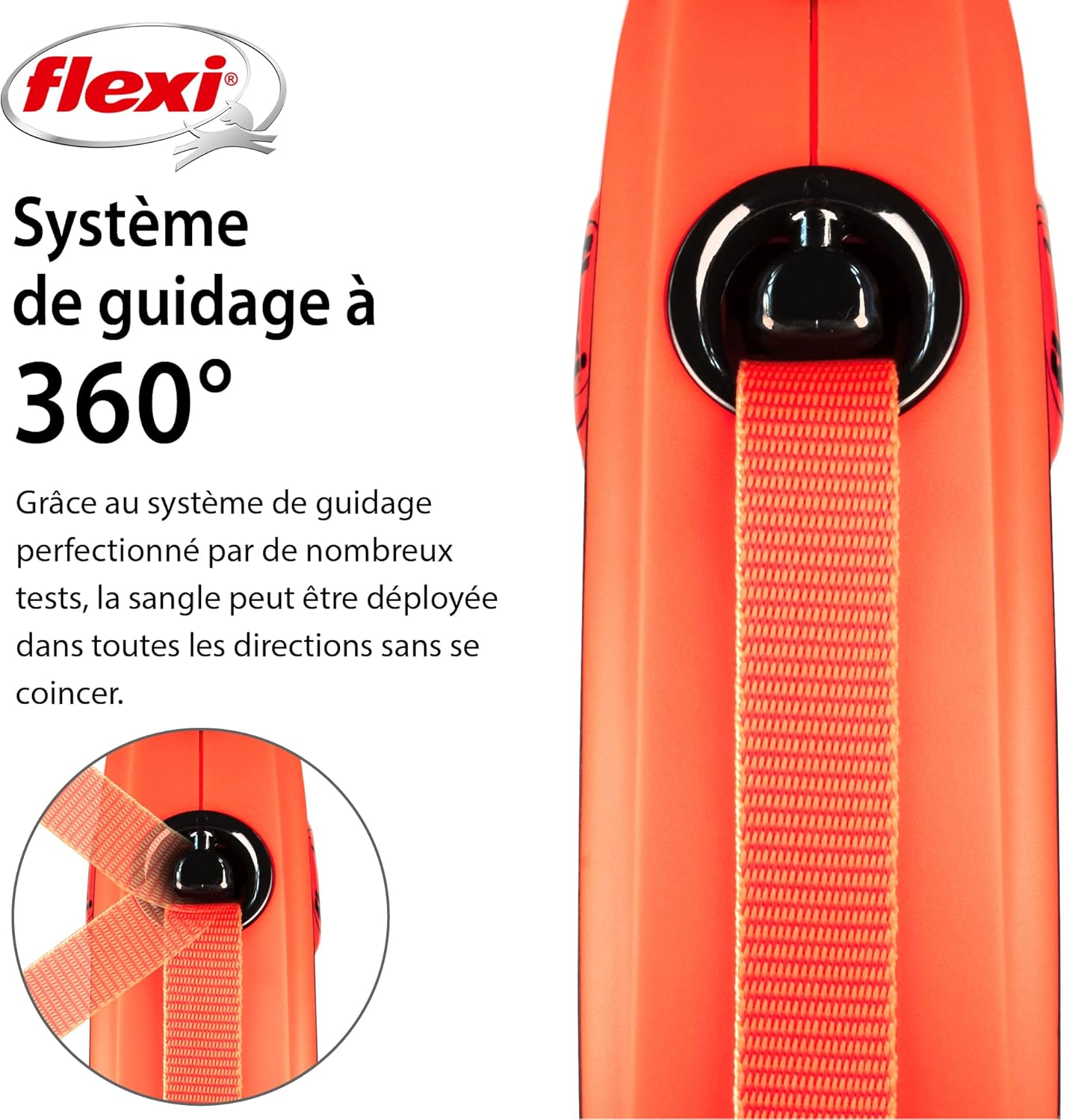 Laisse pour Chat 5m