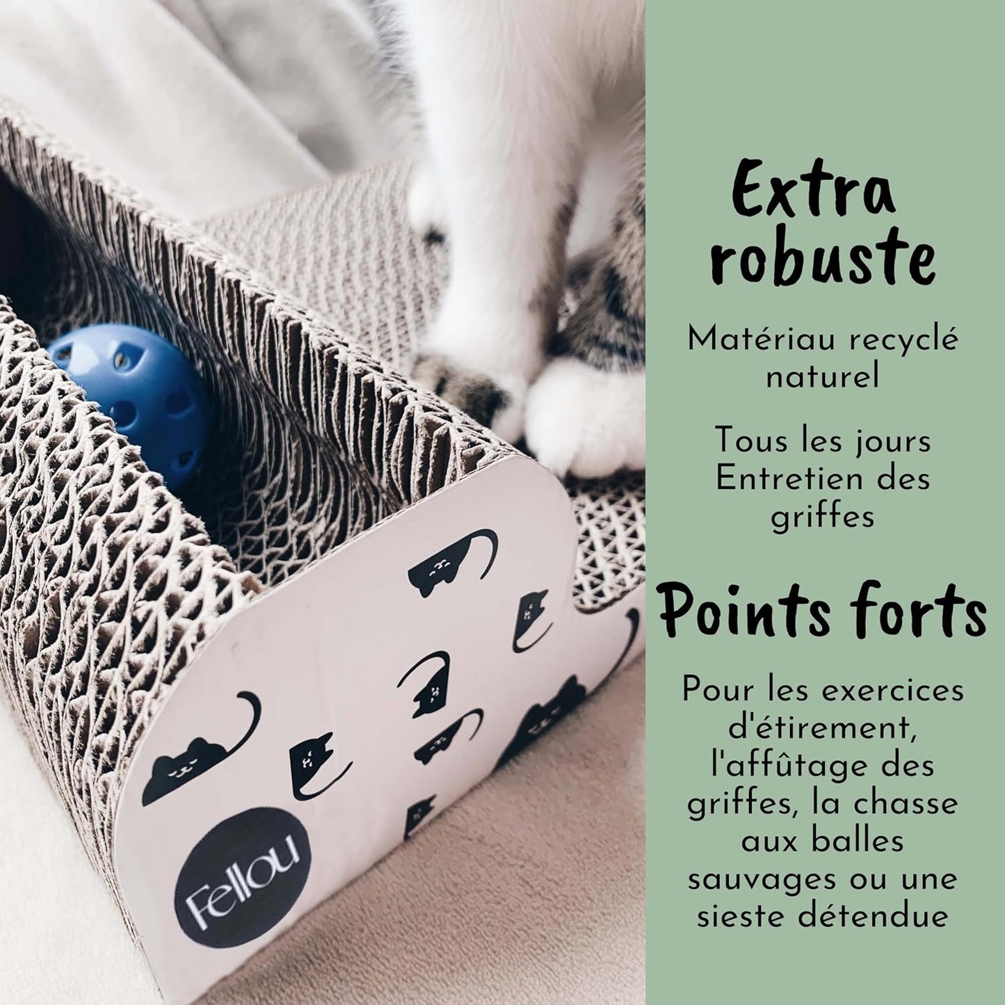 Griffoir Chat avec Herbe à Chat