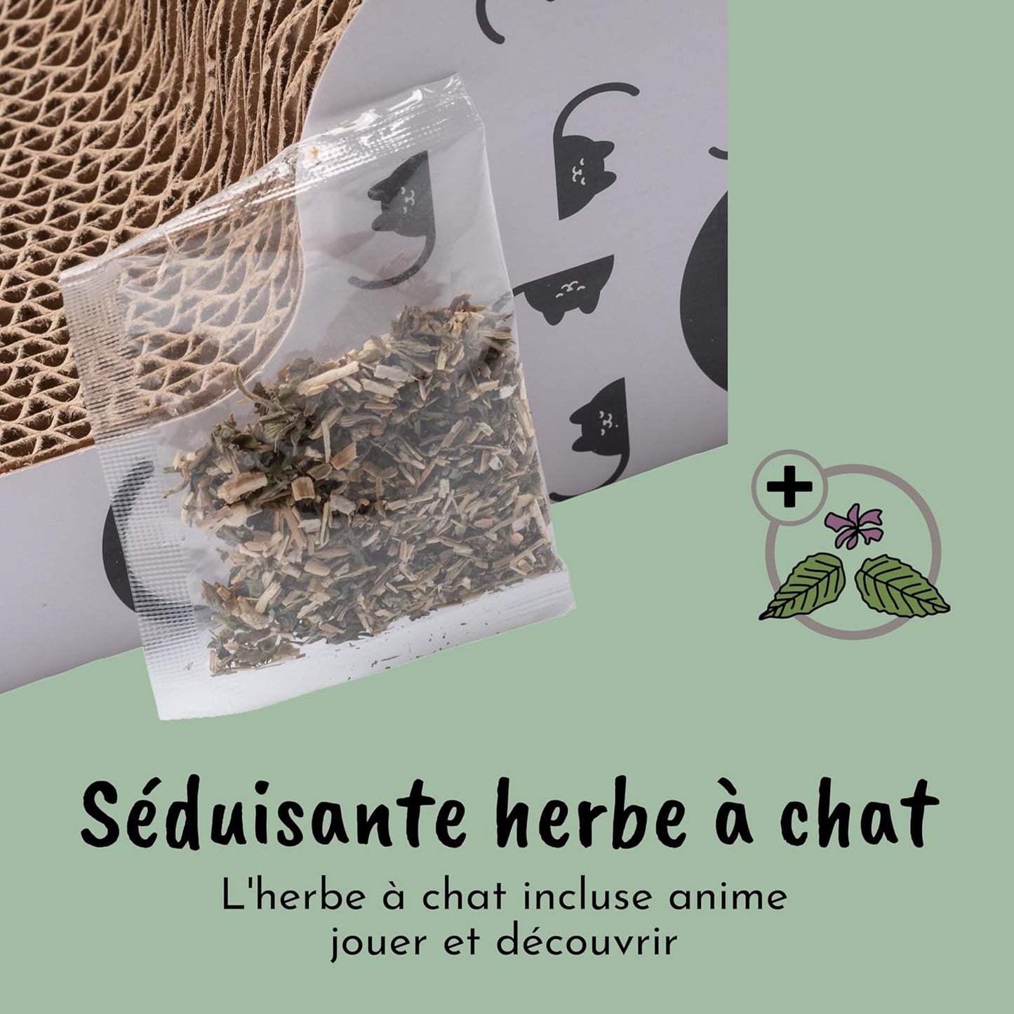 Griffoir Chat avec Herbe à Chat