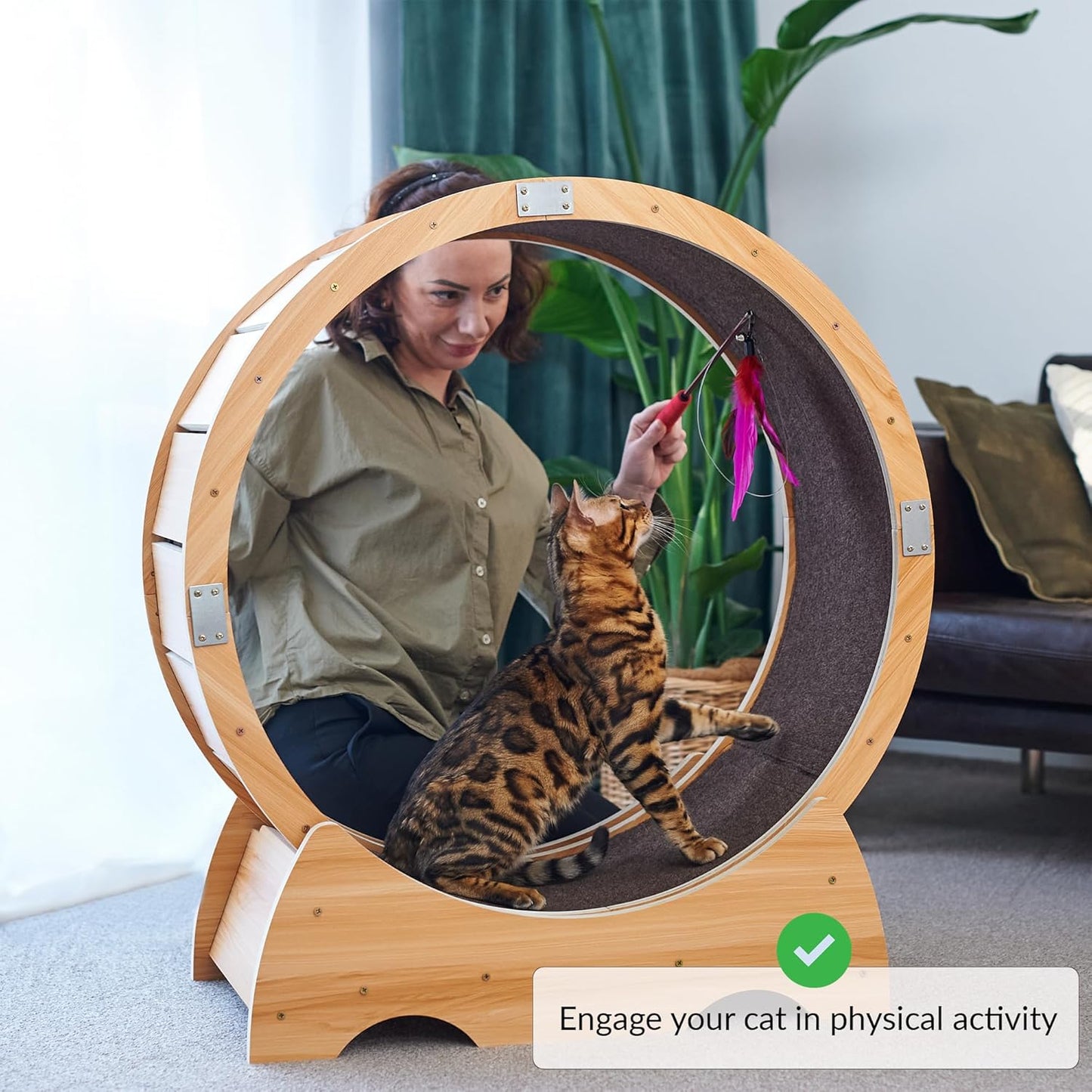 Roue pour Chat, Roue d'exercice