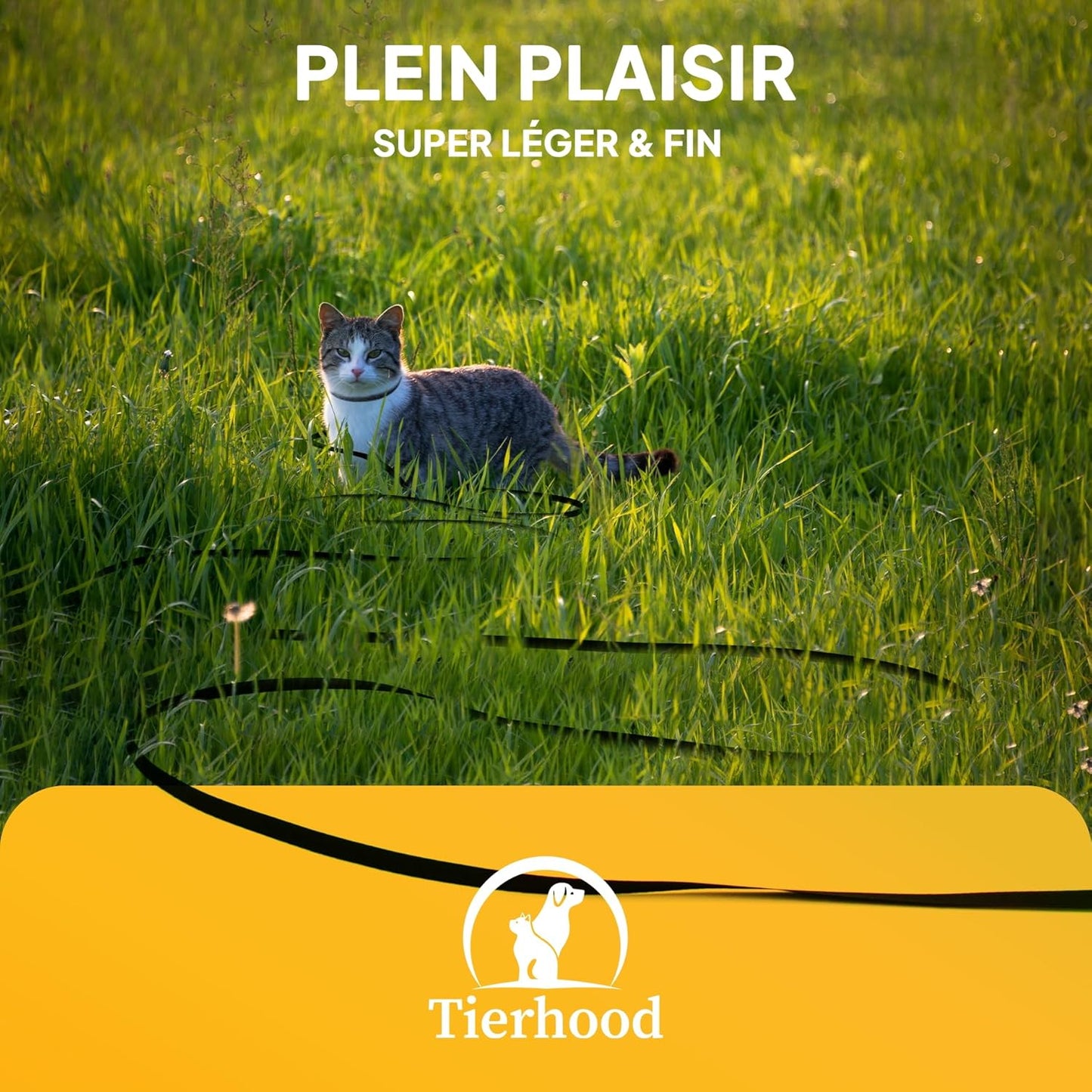 Laisse pour Chat 10m