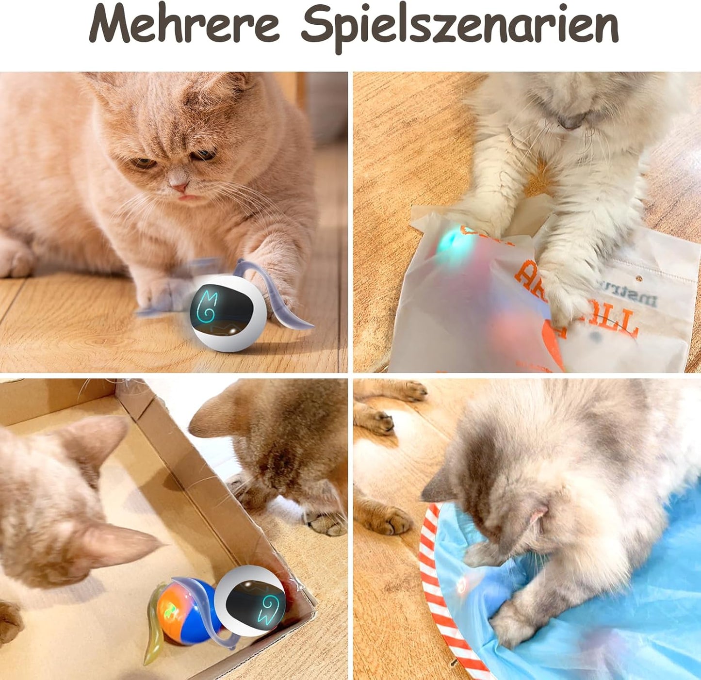 Jouet pour Chat Traqueur