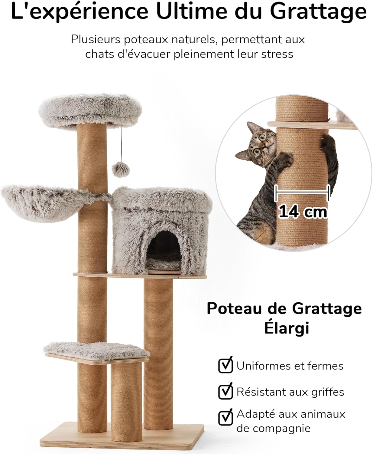 Arbre à Chat 155 cm