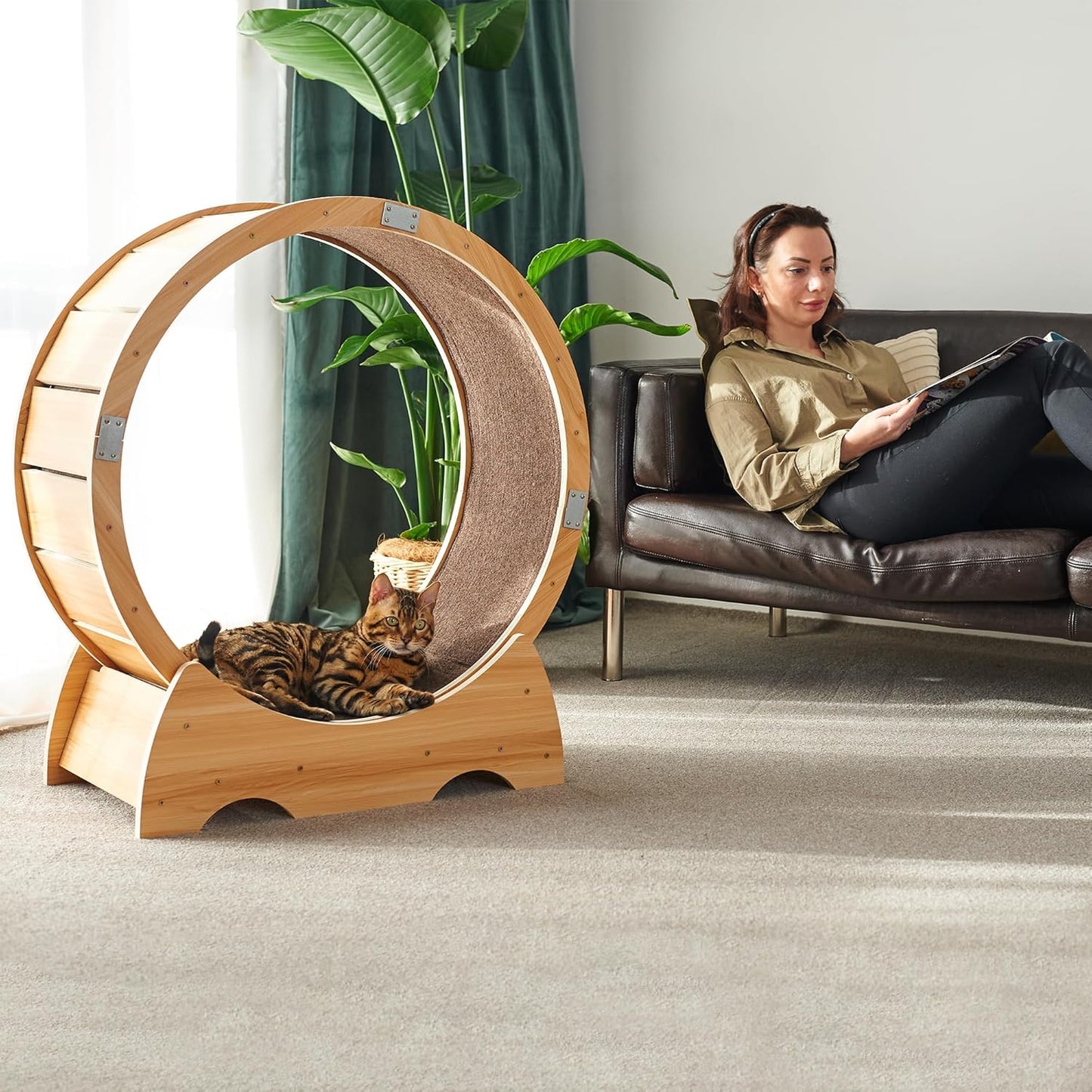 Roue pour Chat, Roue d'exercice