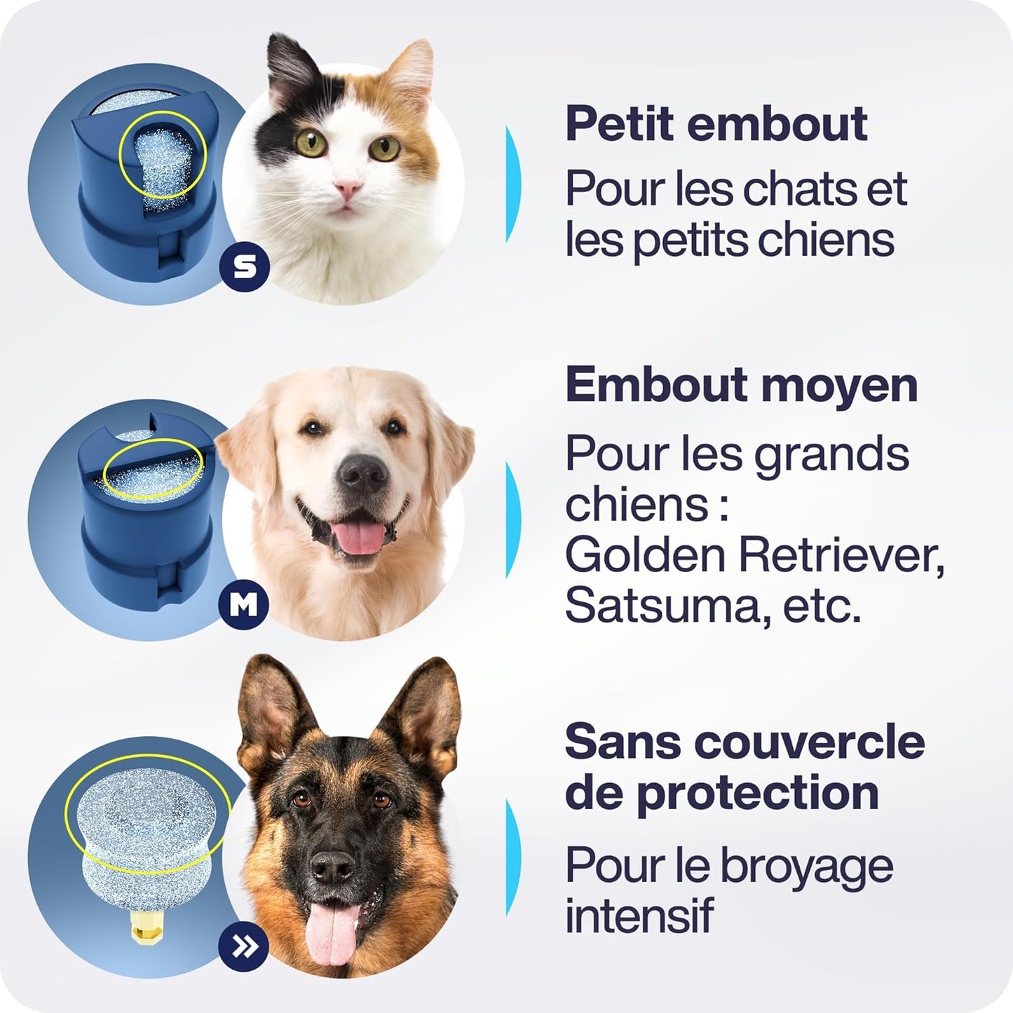 Coupe Griffes Chat électrique