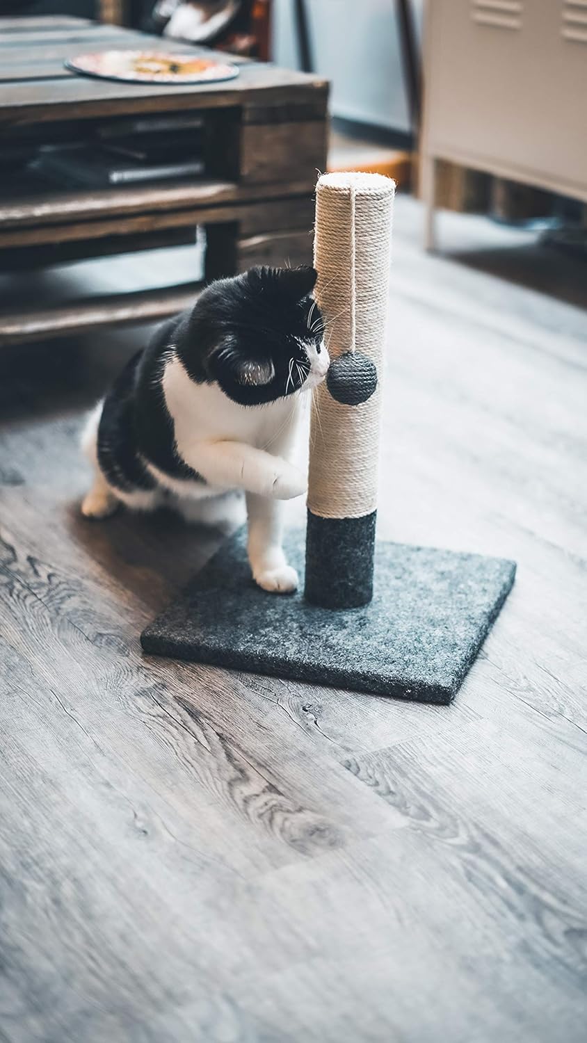 Griffoir pour Chat 42 cm