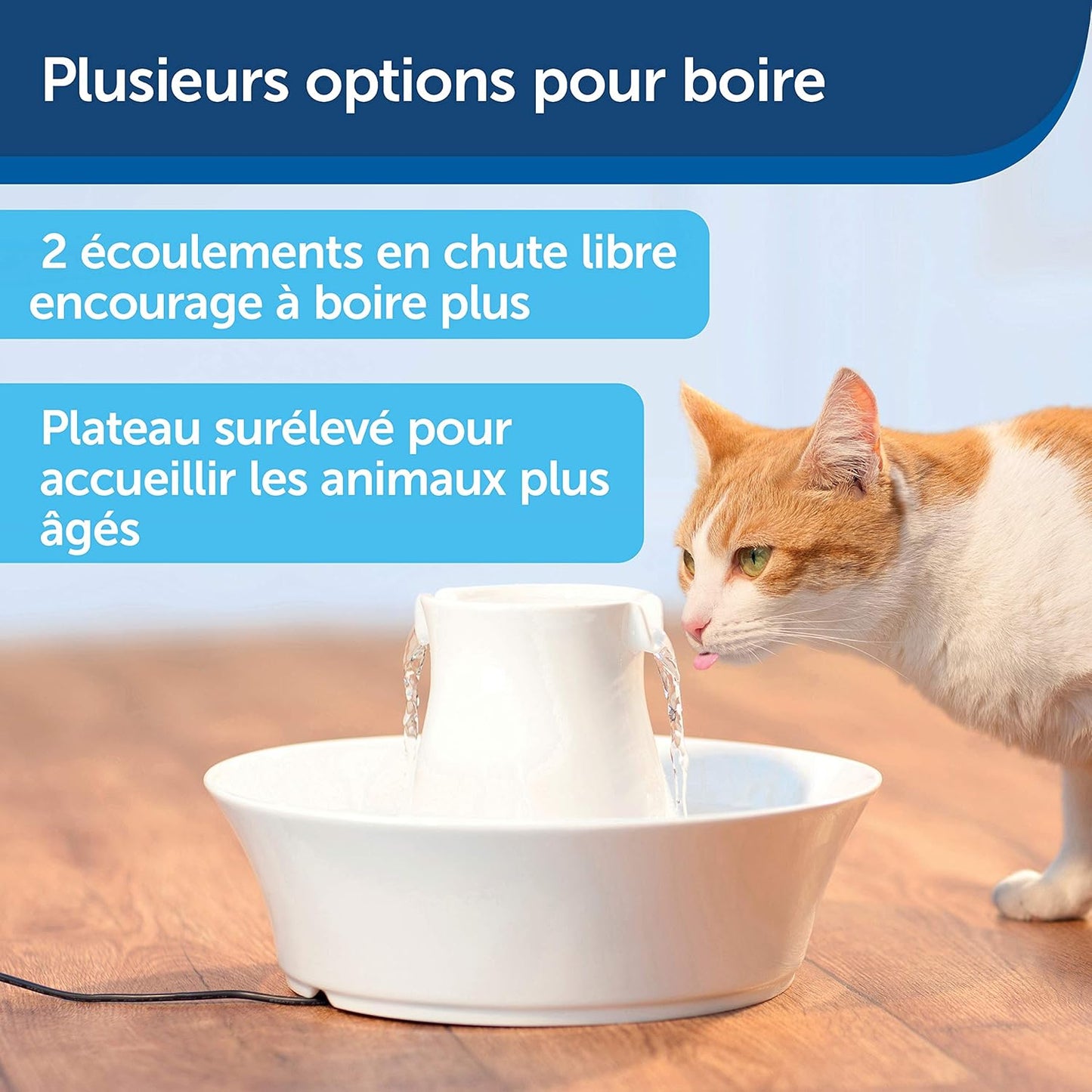 Fontaine à Eau Chat Céramique 2L