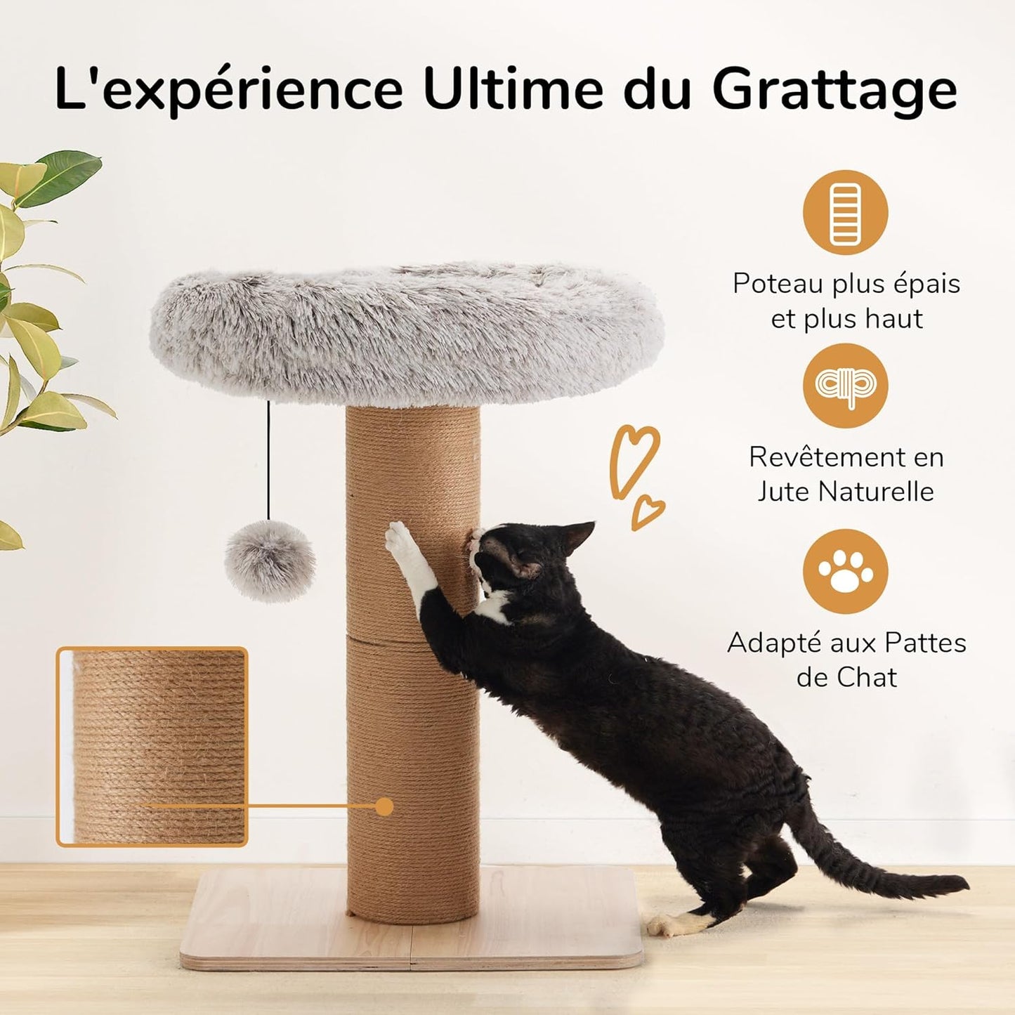 Arbre à chat avec lit