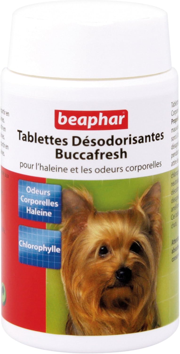 Brosse à pour dents Comprimés haleine fraîche