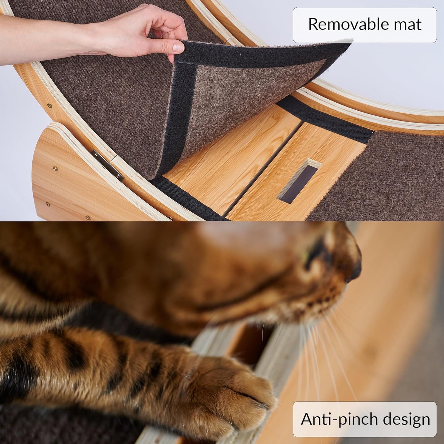 Roue pour Chat, Roue d'exercice