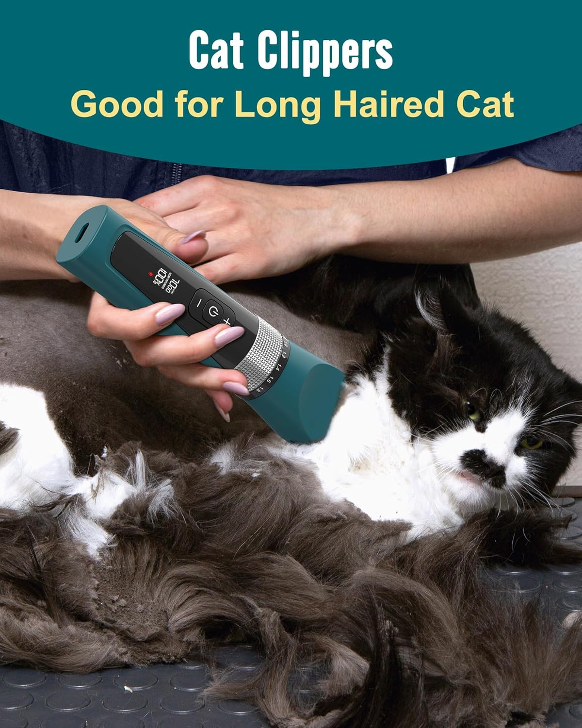 Toilettage chat Tondeuse