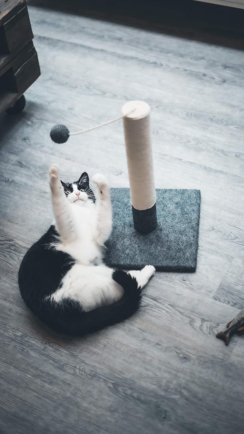 Griffoir pour Chat 42 cm