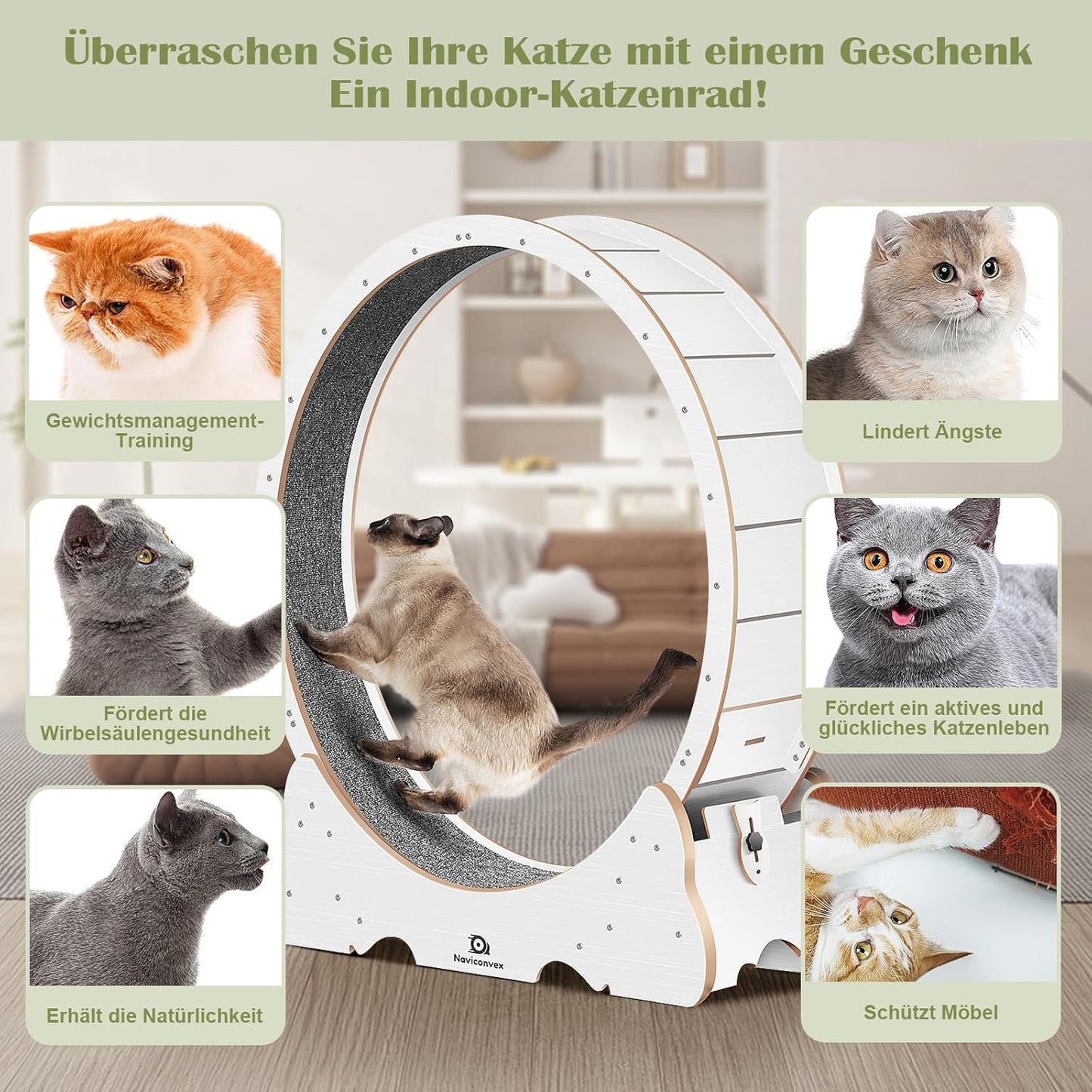 Roue pour Chat 113 cm
