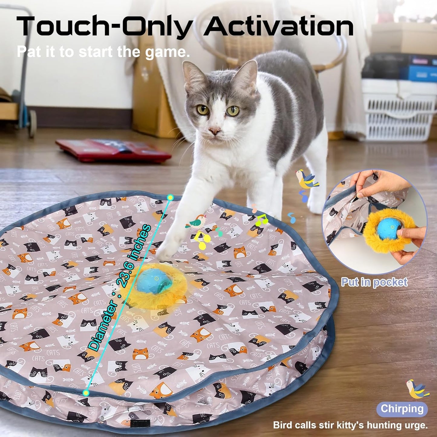 Jouet pour Chat Cache-Cache