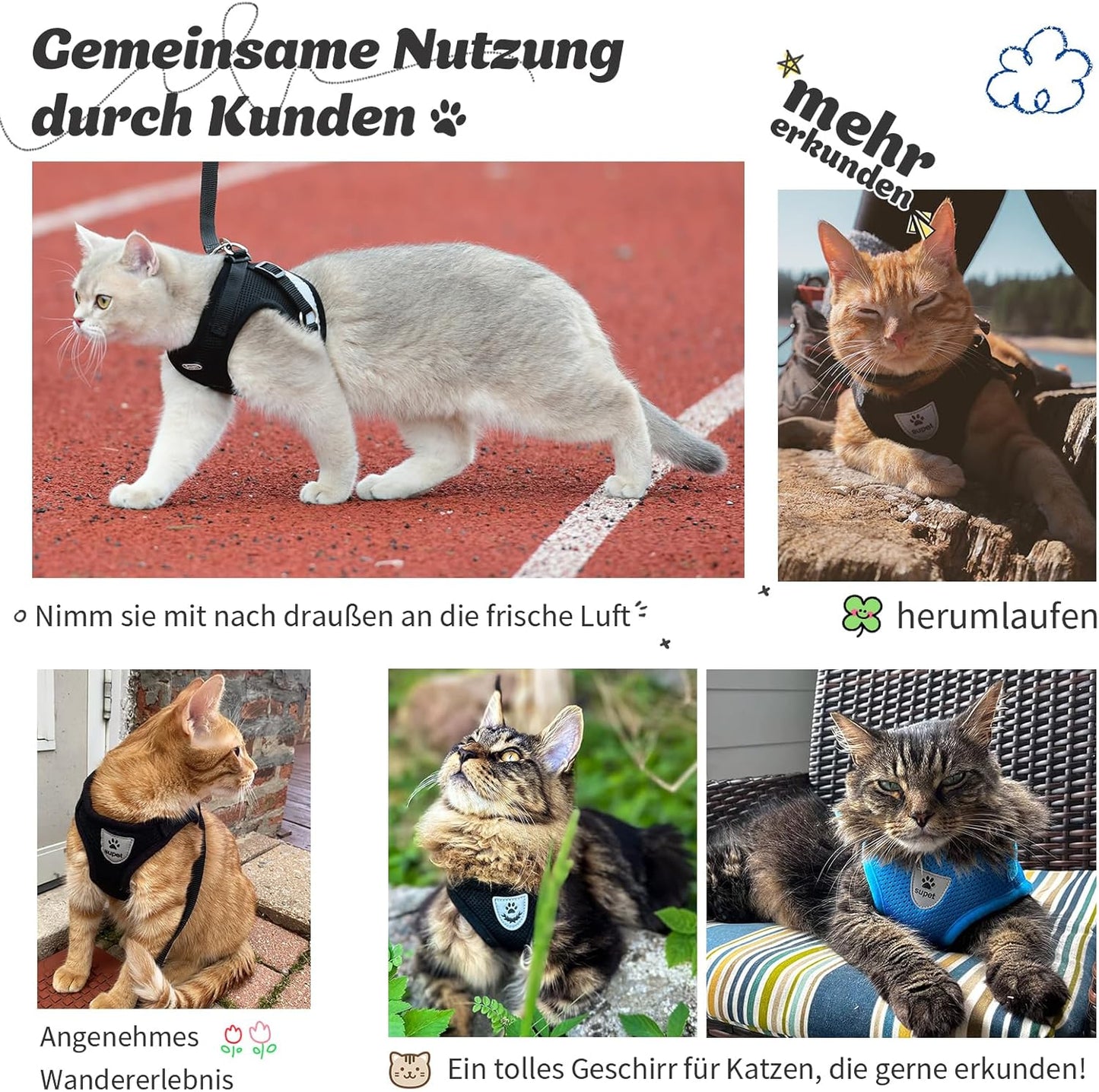Harnais Chat Anti-évasion
