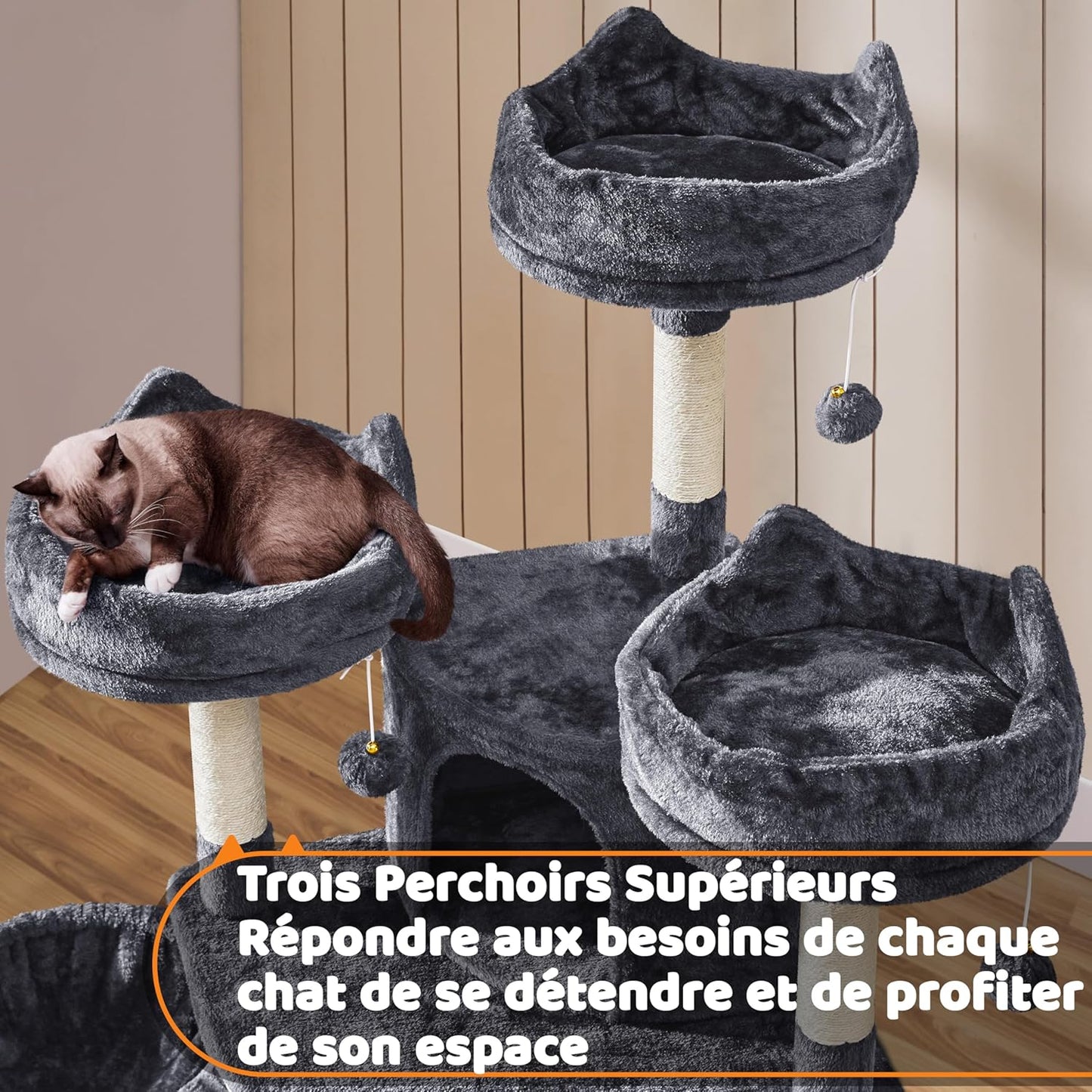 Arbre a Chat XXL 175 cm