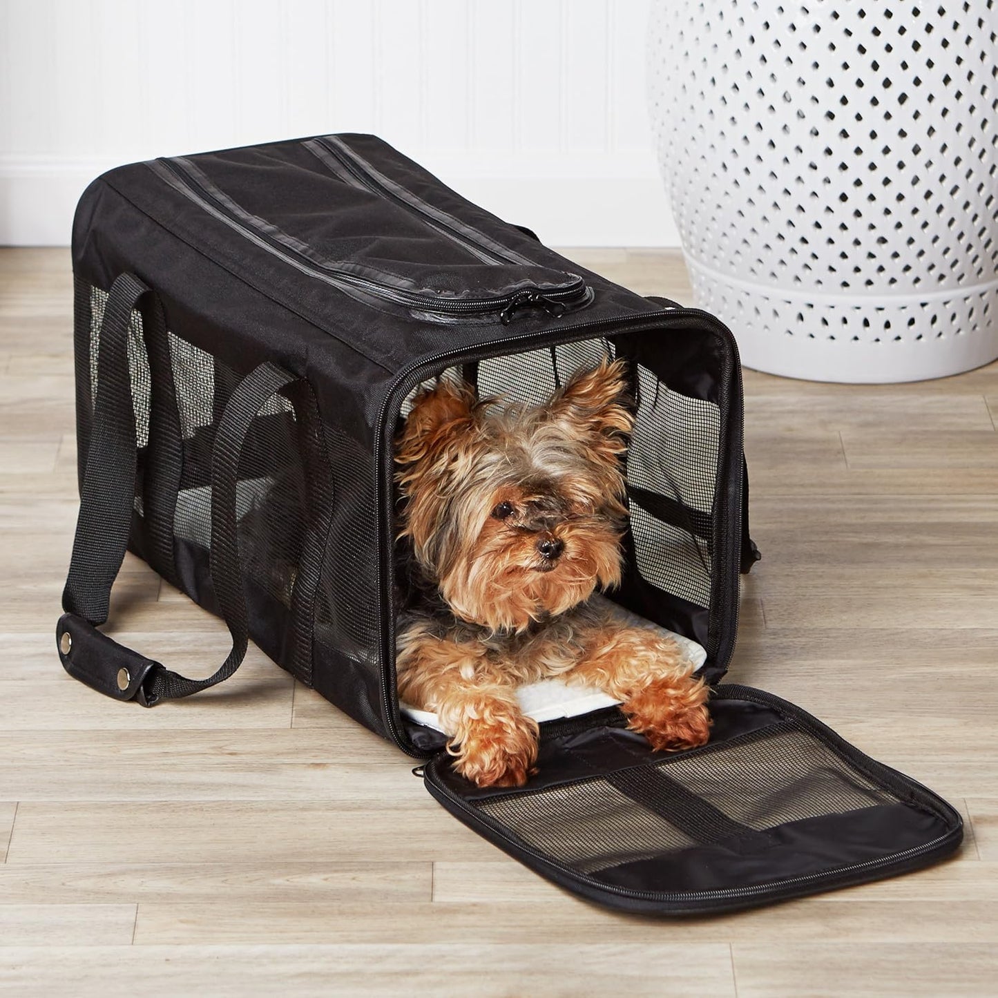 Sac Transport Chat 50 x 30.4 x 30.4 cm 10kg