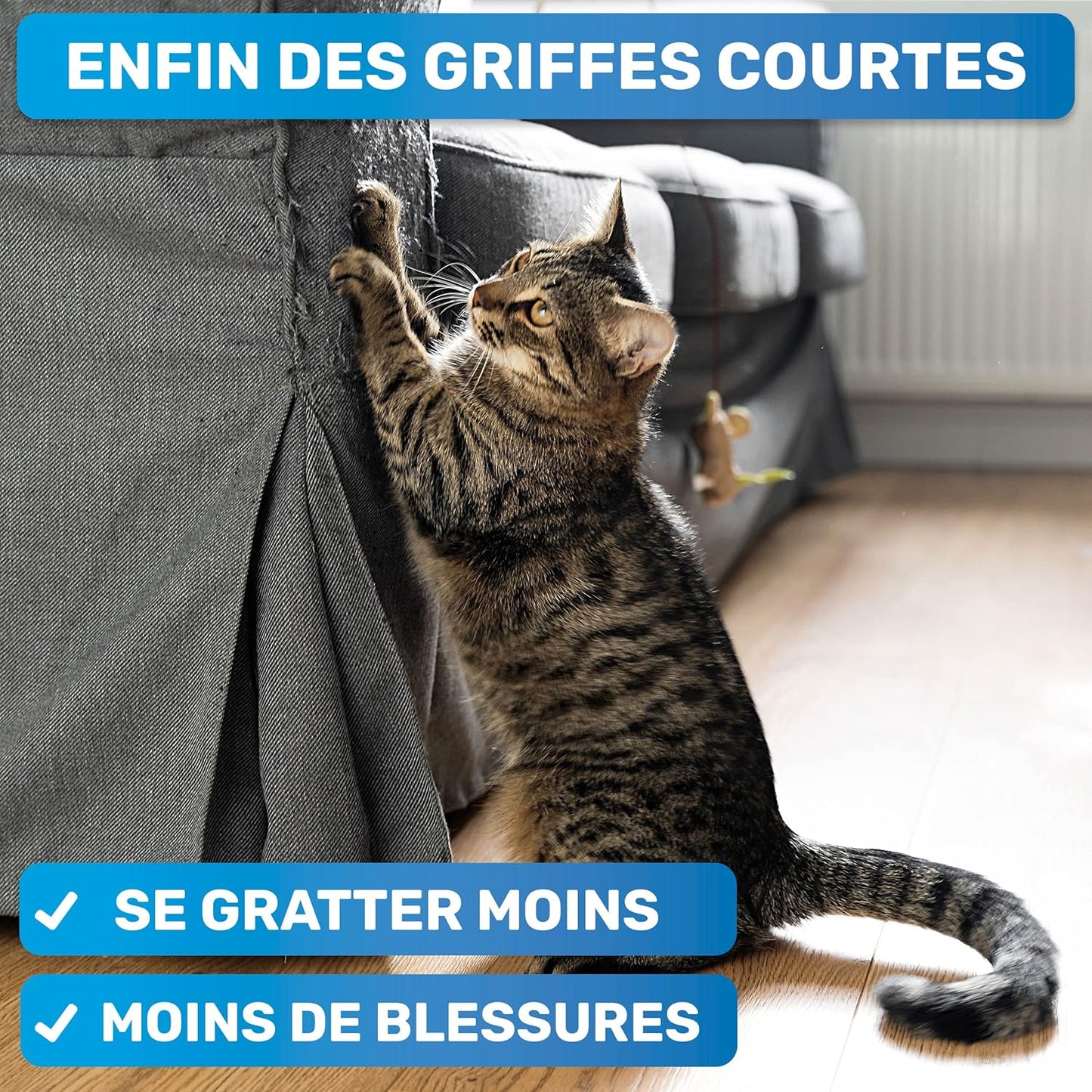 Coupe Griffes Chat + Lime