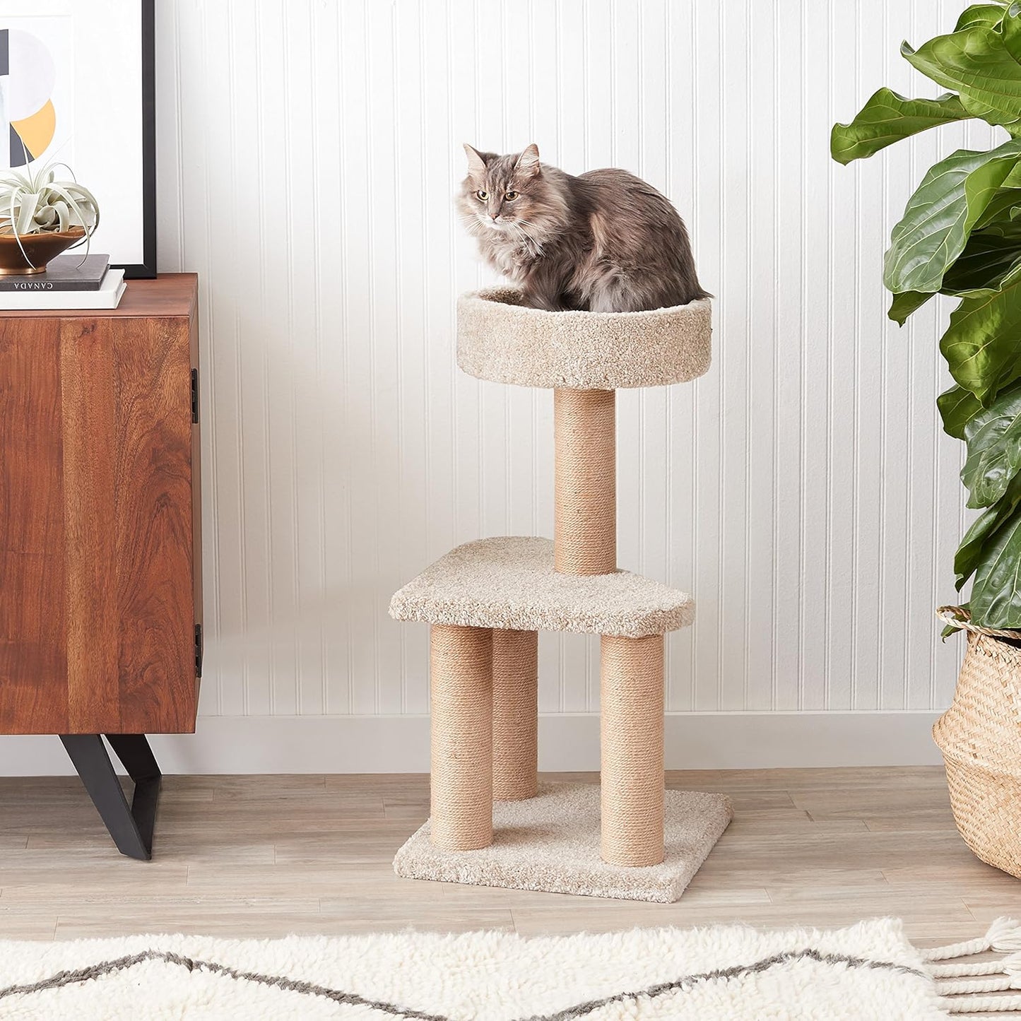 Arbre à chat 80 cm