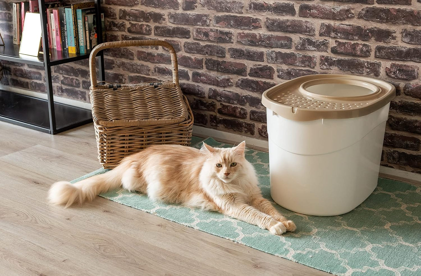 Litière Max. 7 kg, Beige