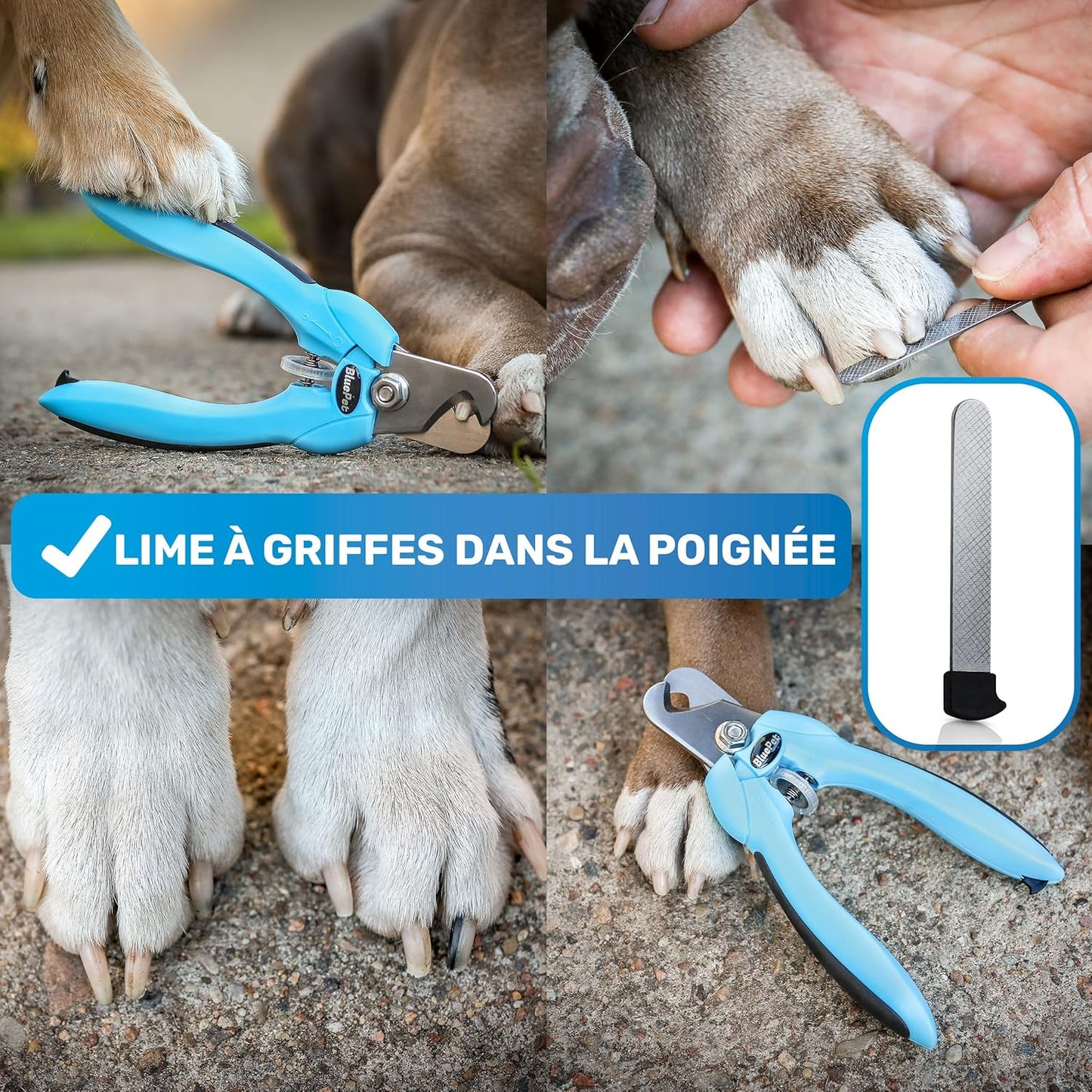 Coupe Griffes Chat + Lime
