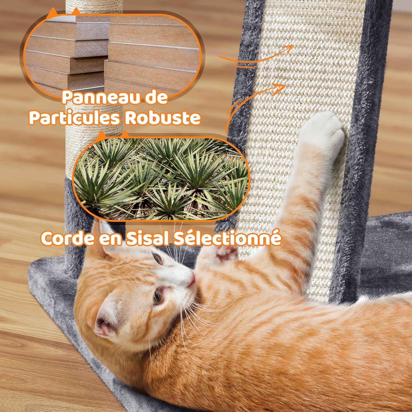 Arbre a Chat XXL 175 cm