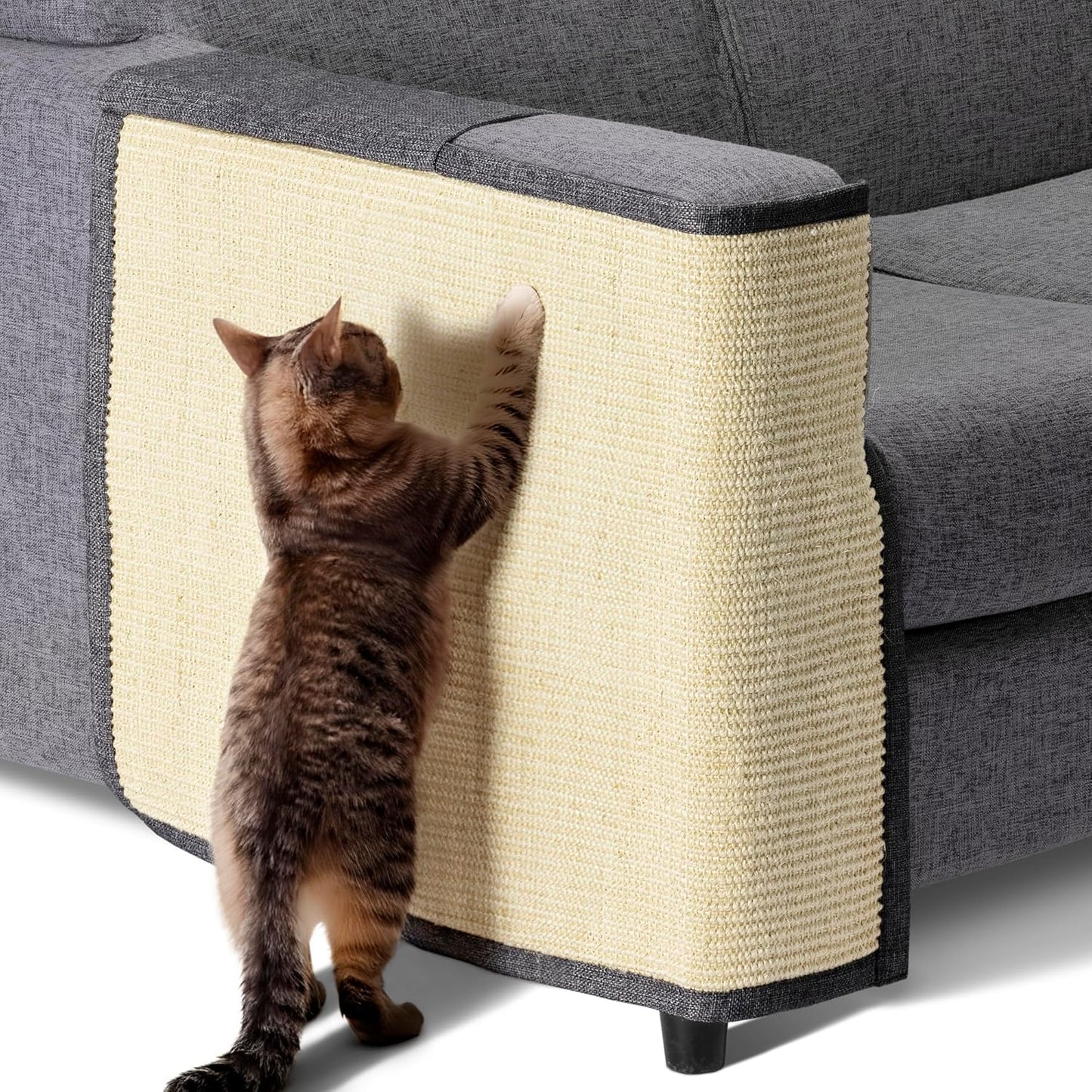 Griffoir Chat Canapé