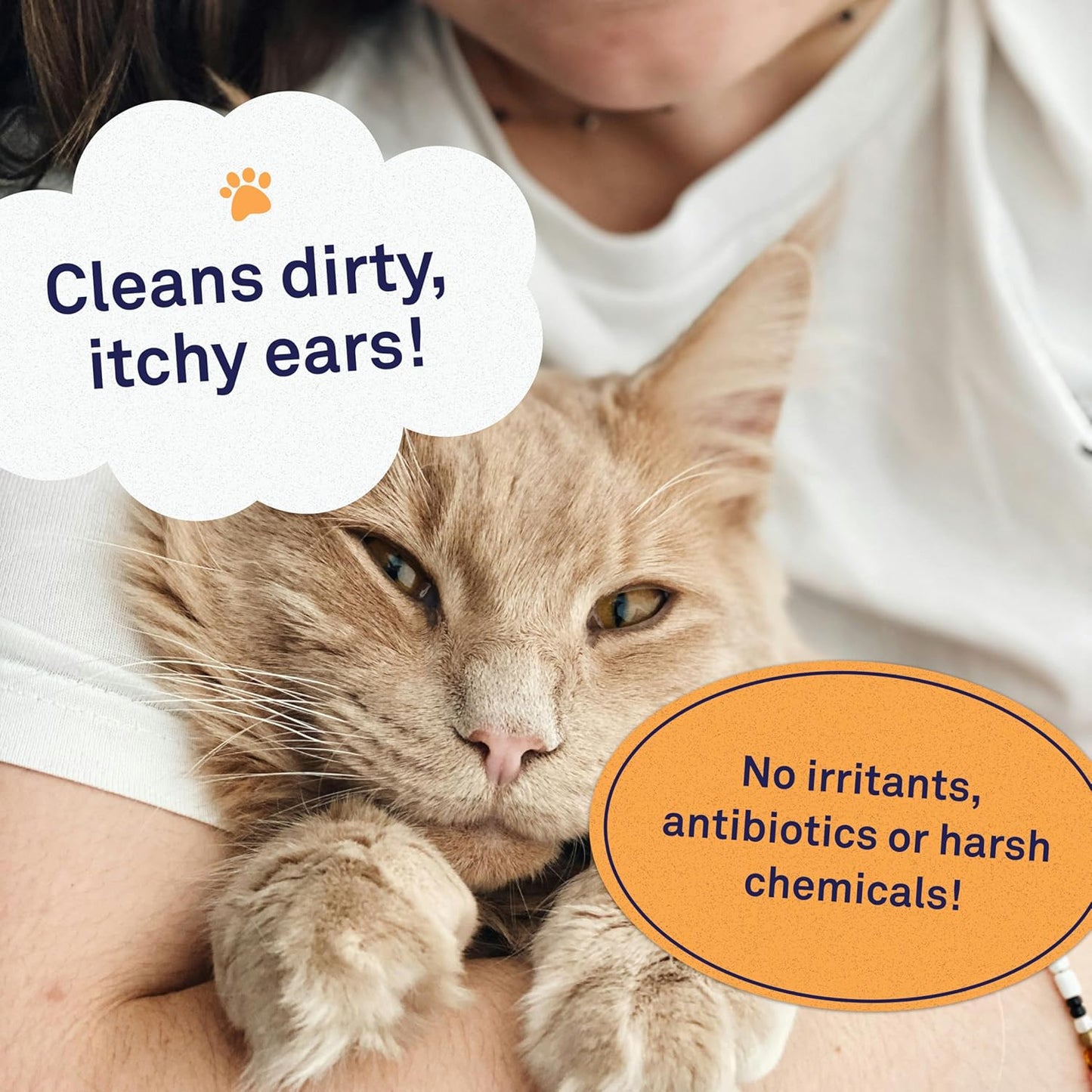 Lingettes pour Chat Oreilles x100