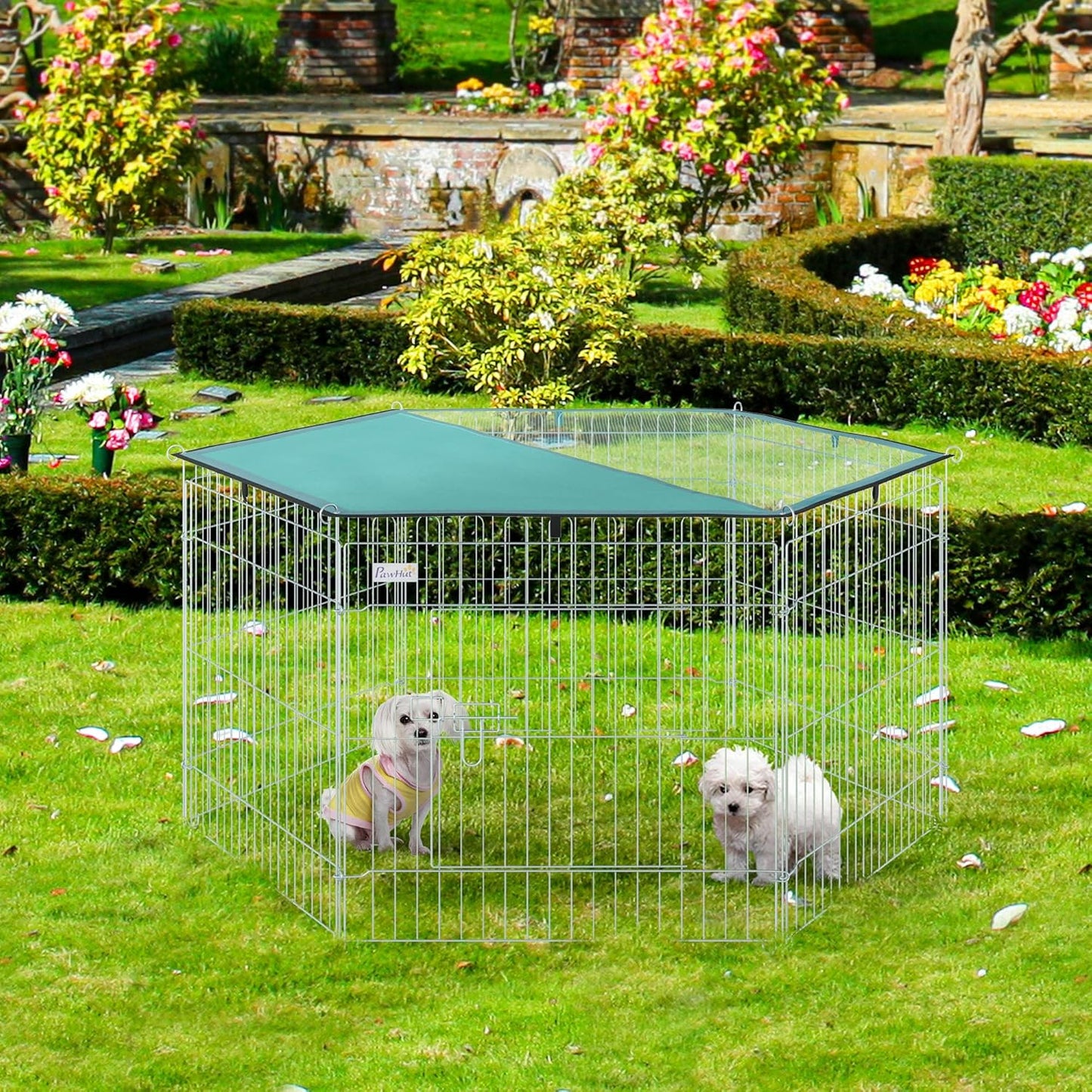 Enclos Chat 6 Panneaux et 1 Porte Ø 120 x 60 cm