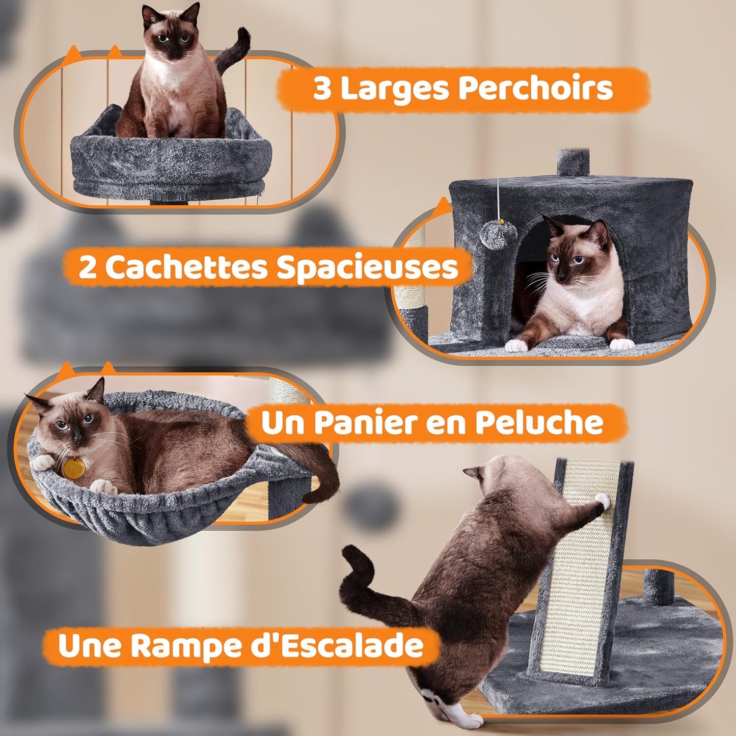 Arbre a Chat XXL 175 cm
