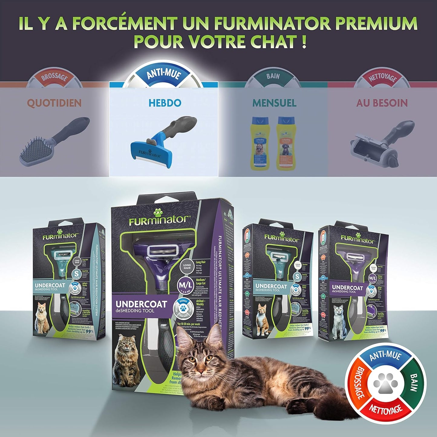 Brosse pour Chat