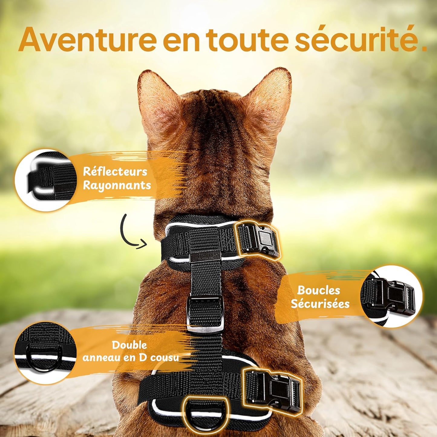 Laisse pour Chat 1.4m