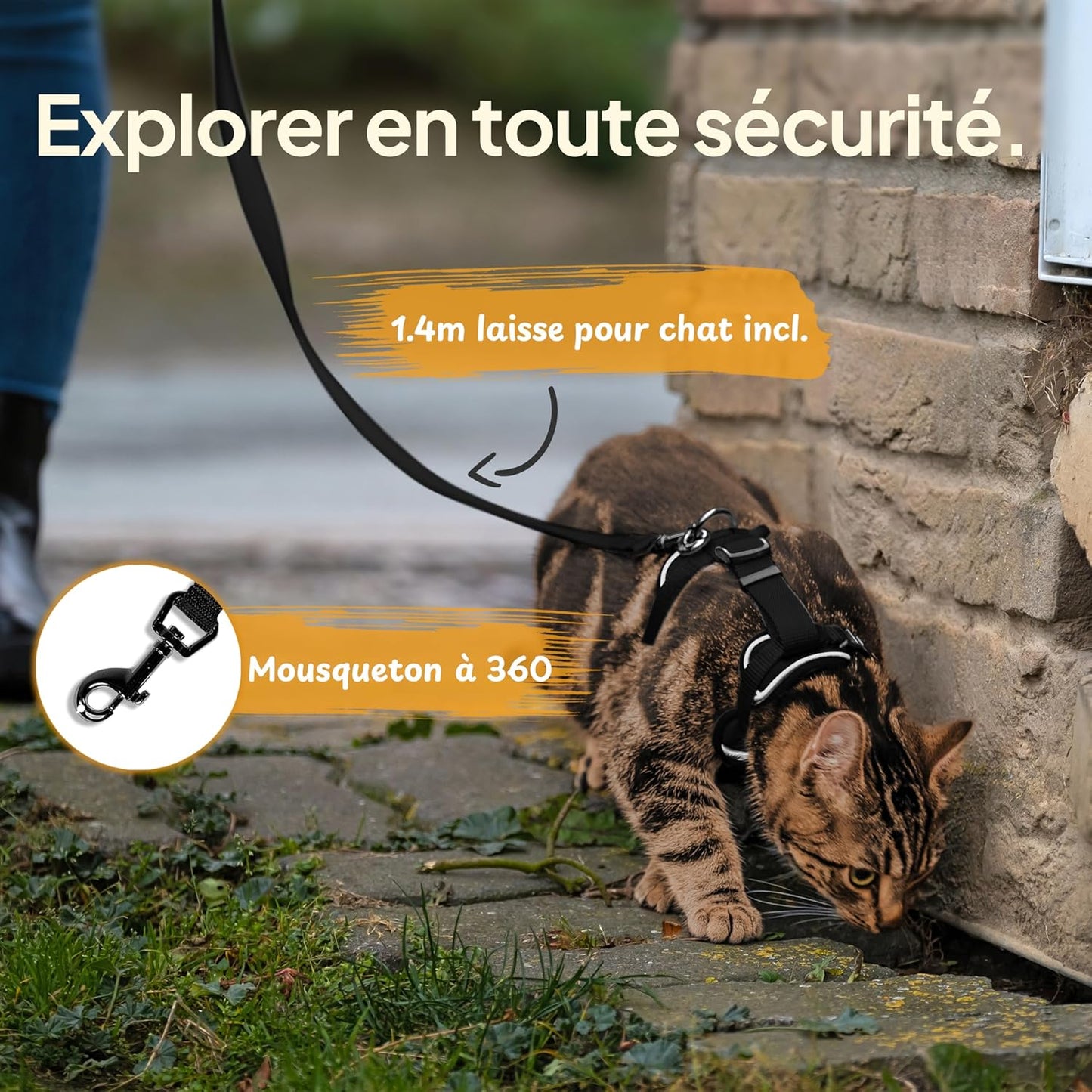 Laisse pour Chat 1.4m