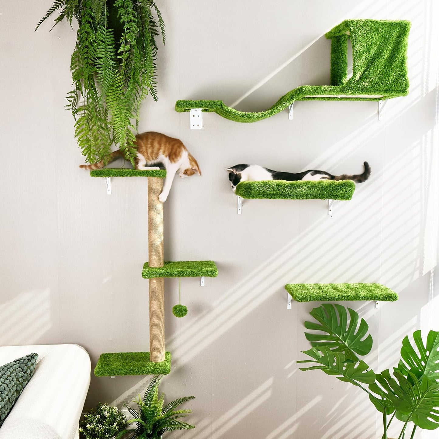Arbre à chat Mural 4en1