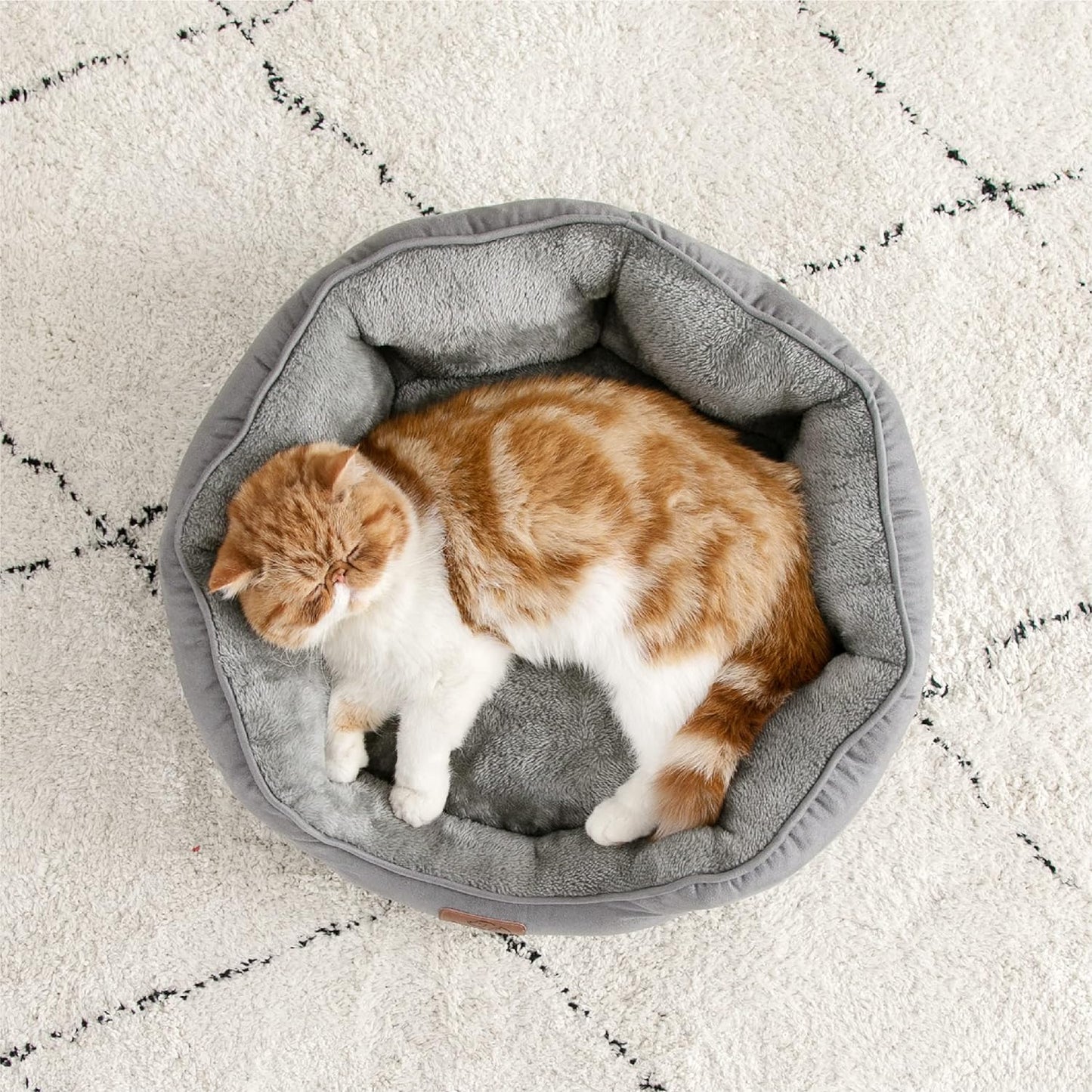 Panier Chat Coussin 51x48x15cm