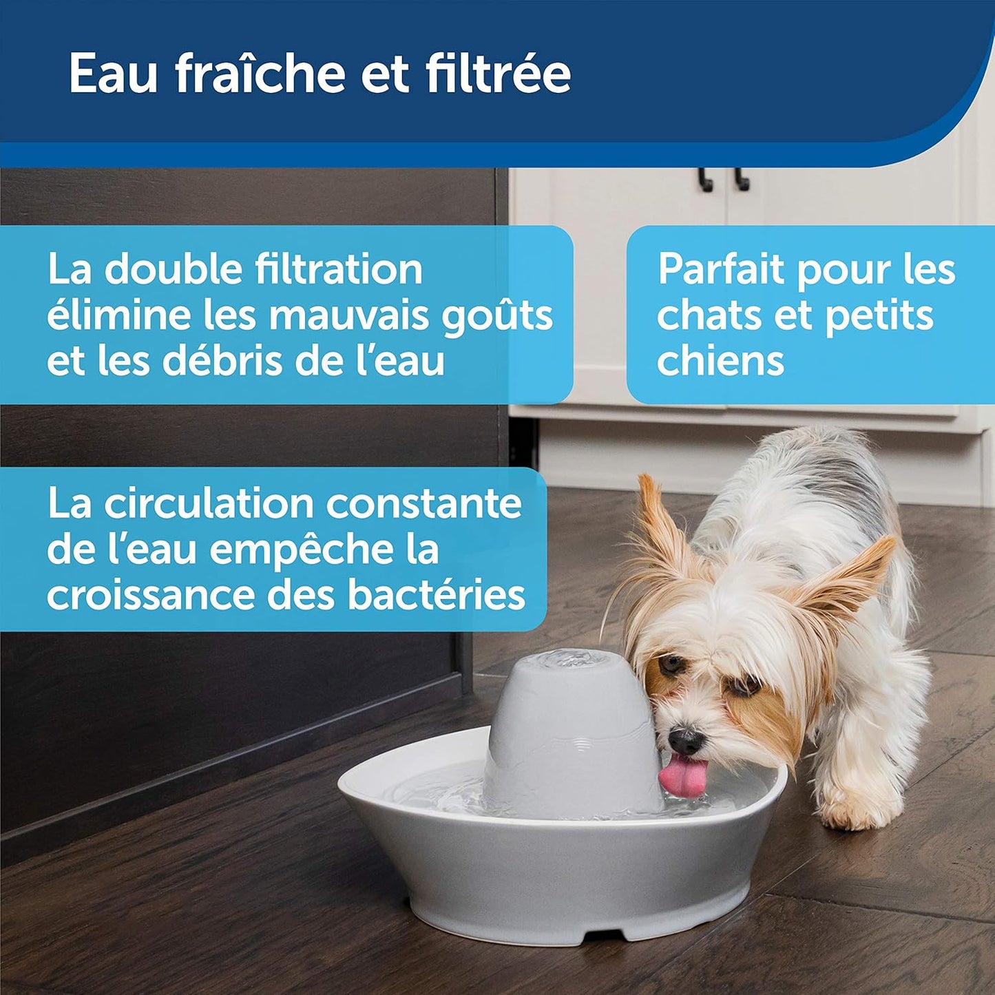 Fontaine à Eau Chat Céramique 1,8L