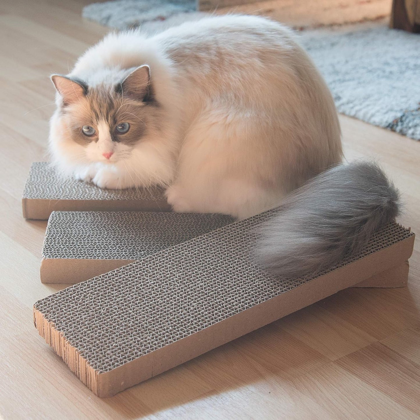 3 x Griffoir Chat 41 x 13 x 3 cm