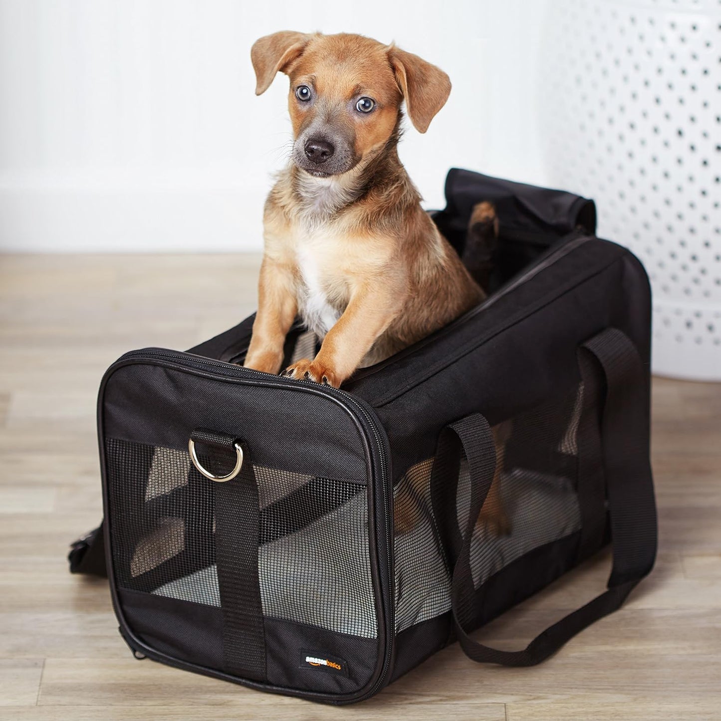 Sac Transport Chat 42x 27 x 27cm 7,3kg
