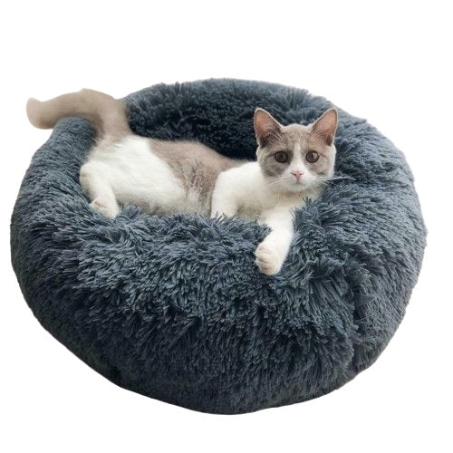 Coussin Chat-🐈 Catgrip🐾🥰