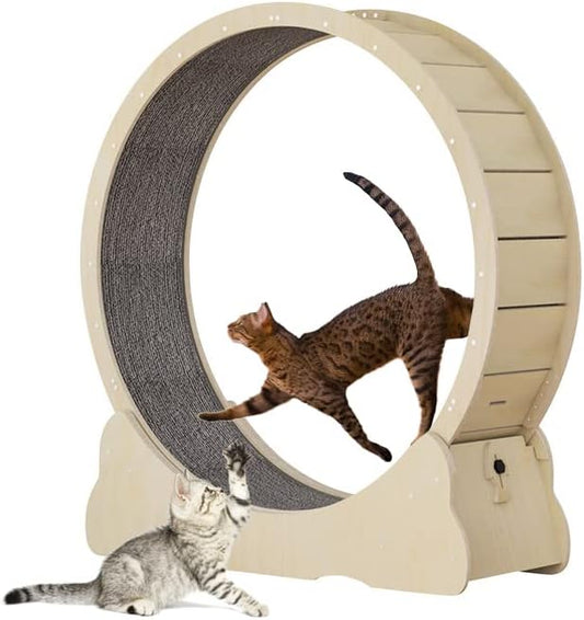 Roue pour Chat avec moquette