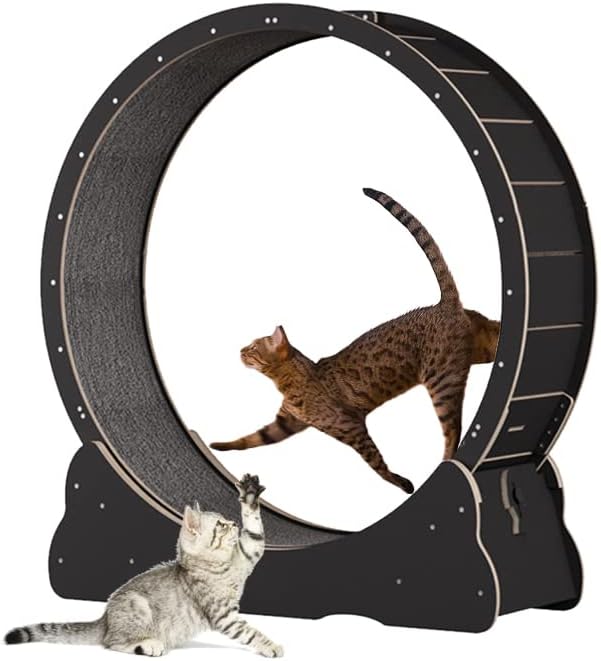 Roue pour Chat 100 cm