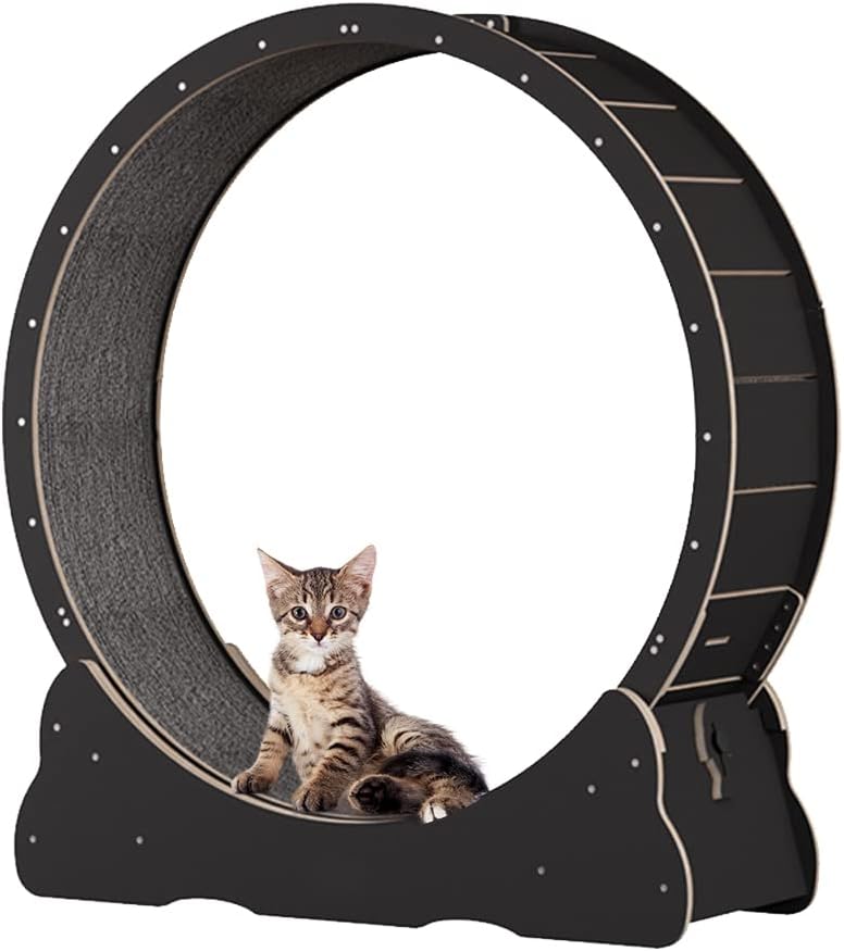 Roue pour Chat 100 cm