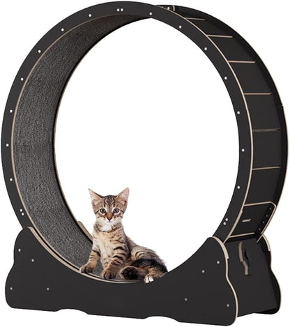 Roue pour Chat 100 cm