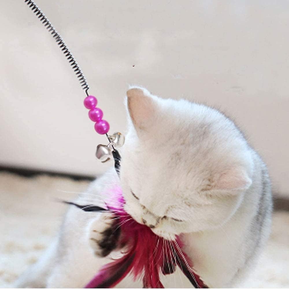 Jouet pour Chat Lot de 6