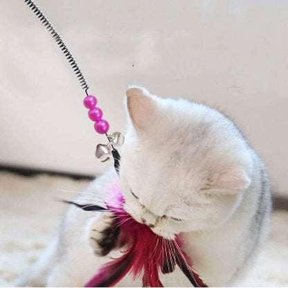 Jouet pour Chat Lot de 6
