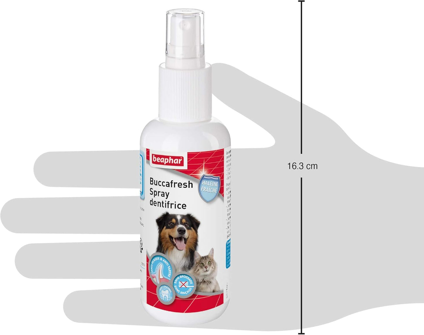 Brosse à pour dents Spray Dentifrice