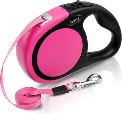 Laisse pour Chat 5m