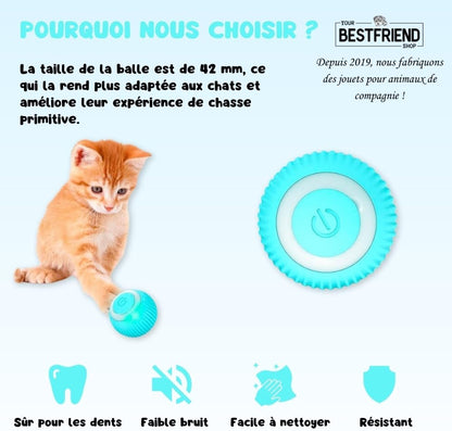 Jouet pour Chat Balle Interactive