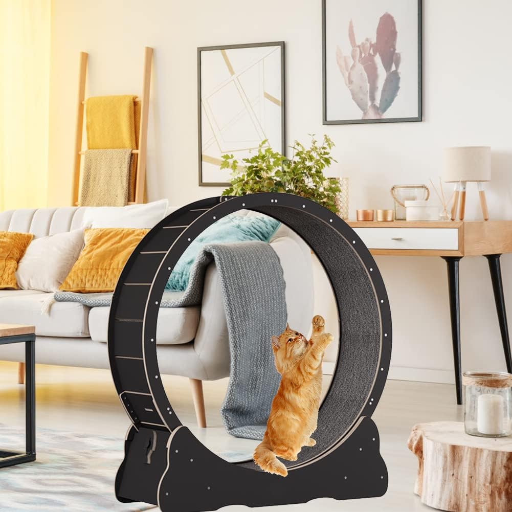 Roue pour Chat 100 cm
