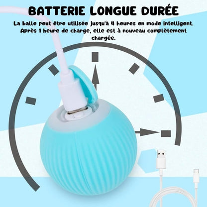 Jouet pour Chat Balle Interactive
